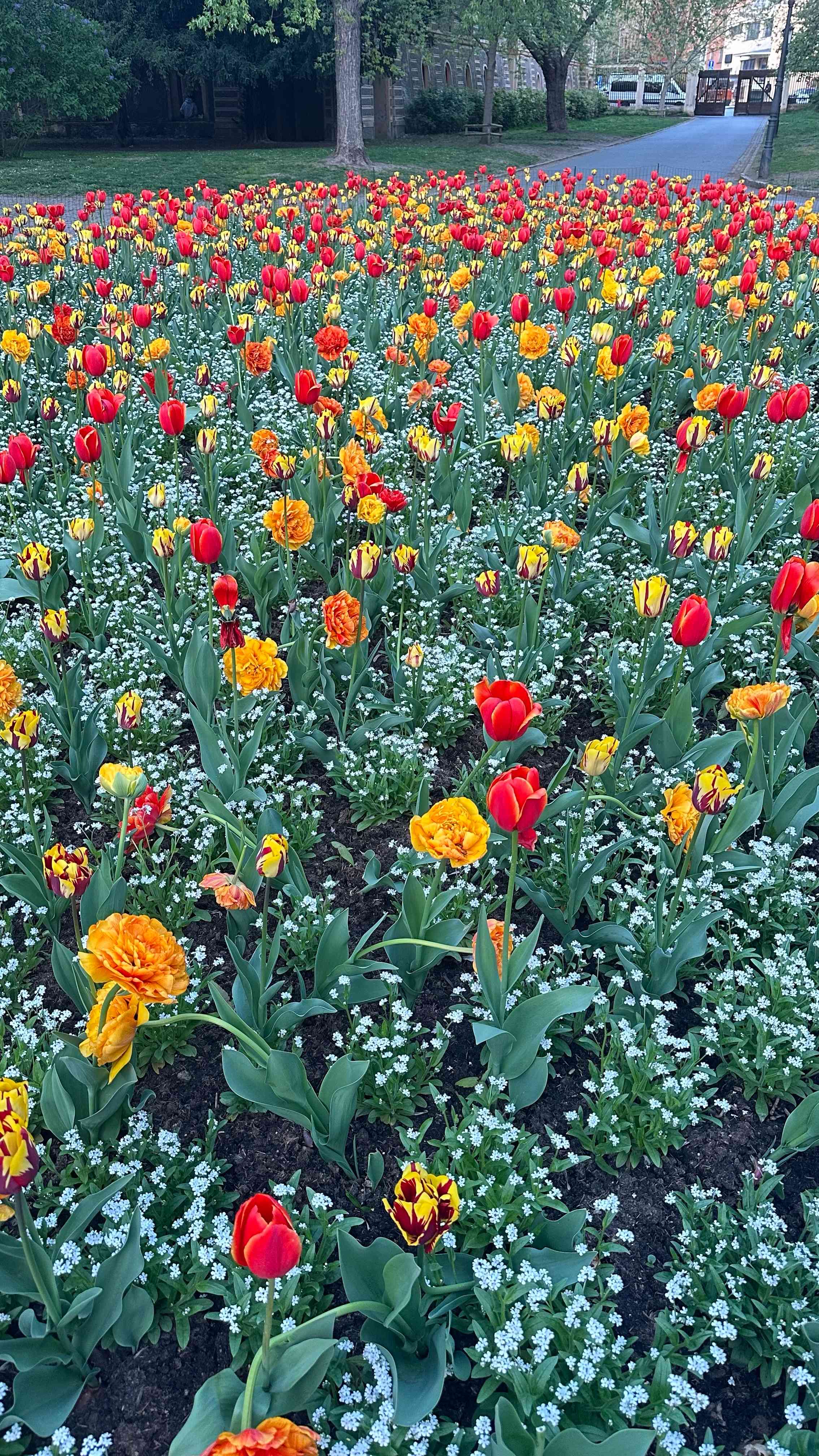 Spring in Full Colour